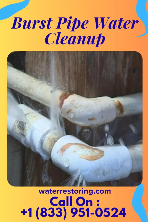 Burst Pipe Water Cleanup in Ogdensburg, NY