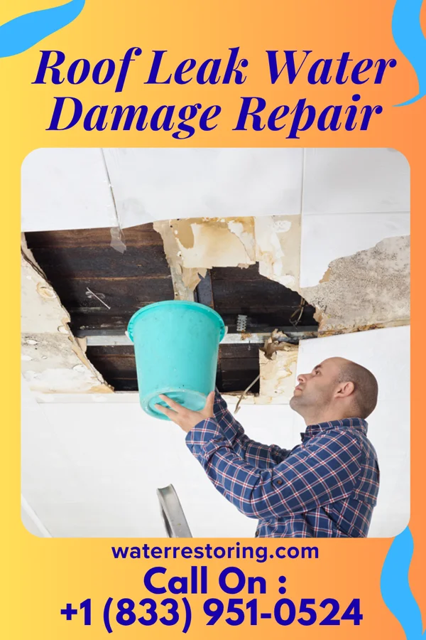 Roof Leak Water Damage Repair in Ogdensburg, NY