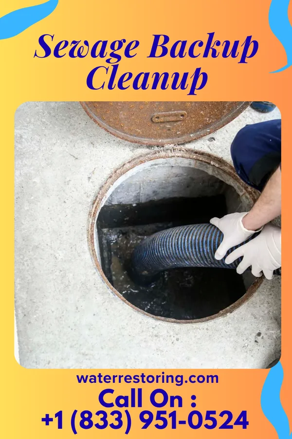 Sewage Backup Cleanup in Ogdensburg, NY