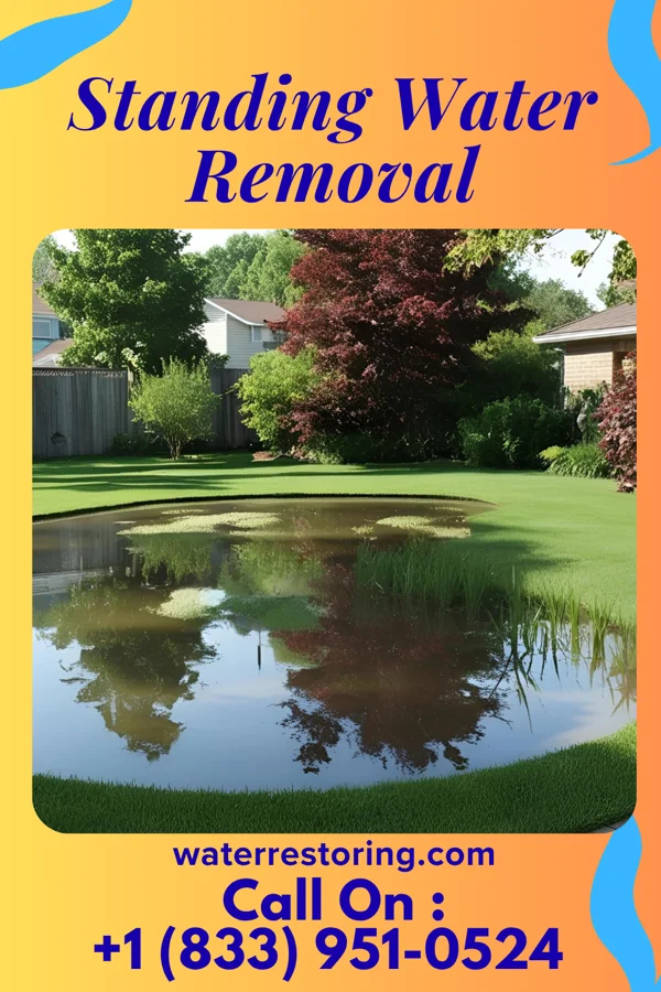 Standing Water Removal in Ogdensburg, NY
